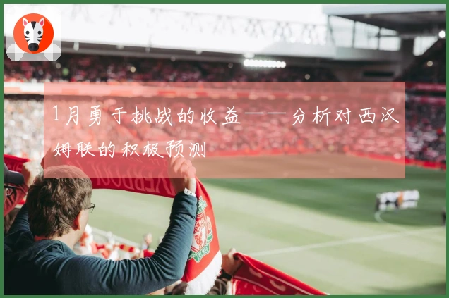 1月勇于挑战的收益——分析对西汉姆联的积极预测